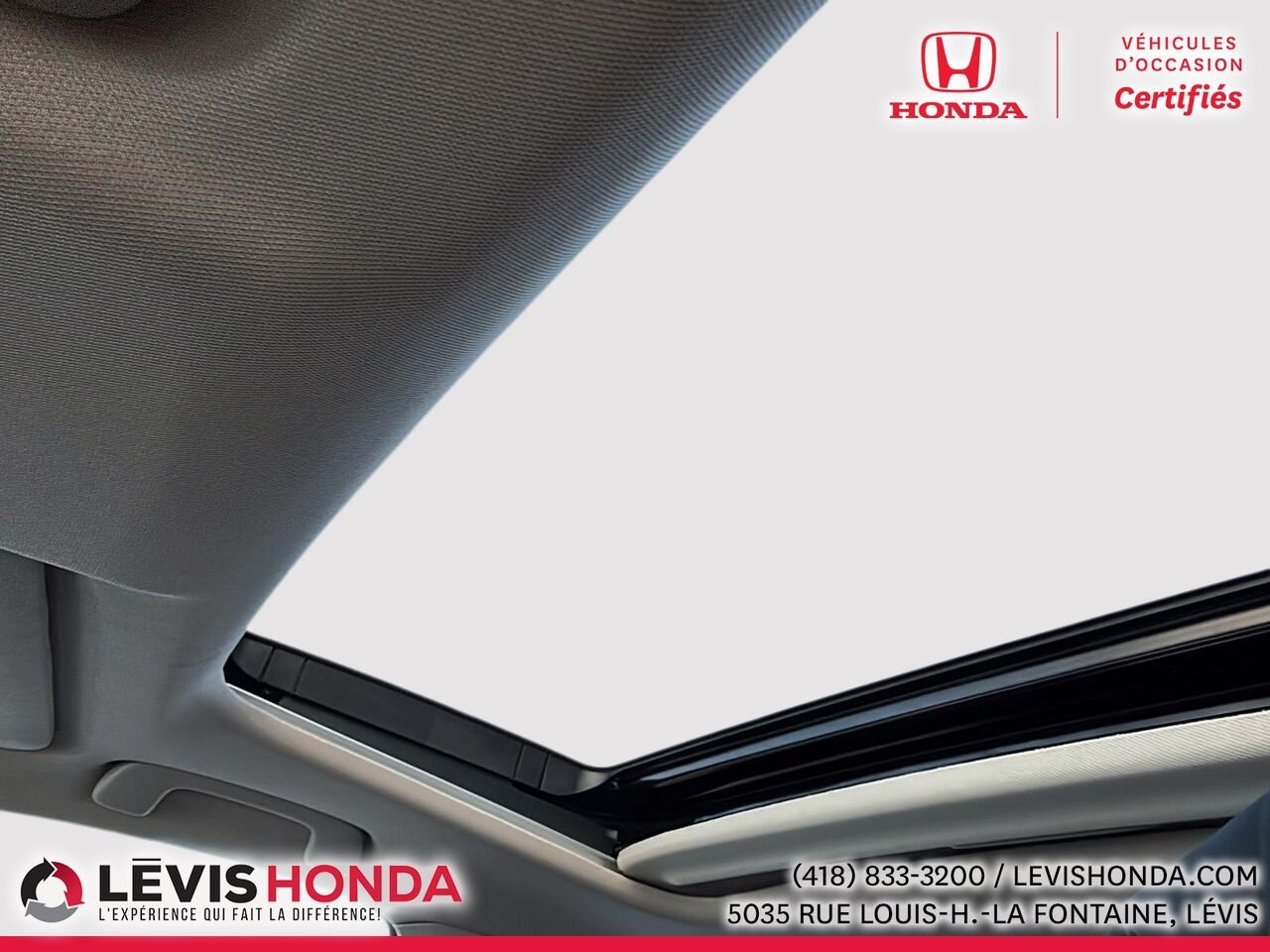 Honda Civic EX EX CVT 2024 Blanc Lévis - photo #26