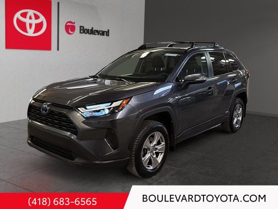 Toyota RAV4 Hybride 2023 2023 Gris