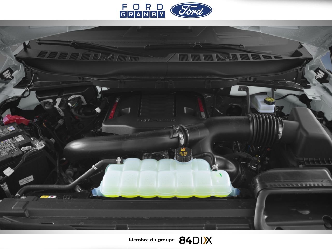 Ford F-150 2026 Blanc Granby - photo #11