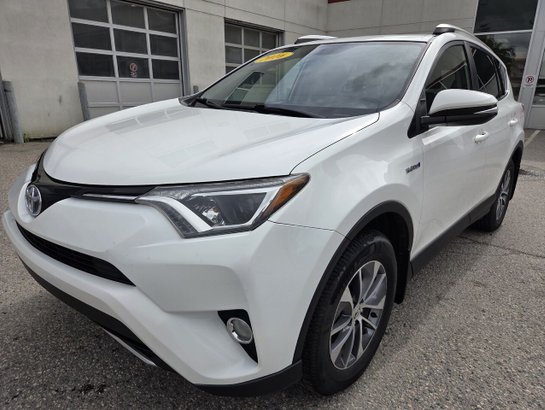 Toyota RAV4 Hybride 2016 2016 Blanc