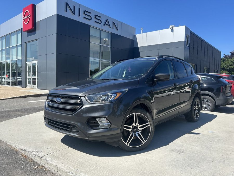 Ford Escape 2019 2019 Gris