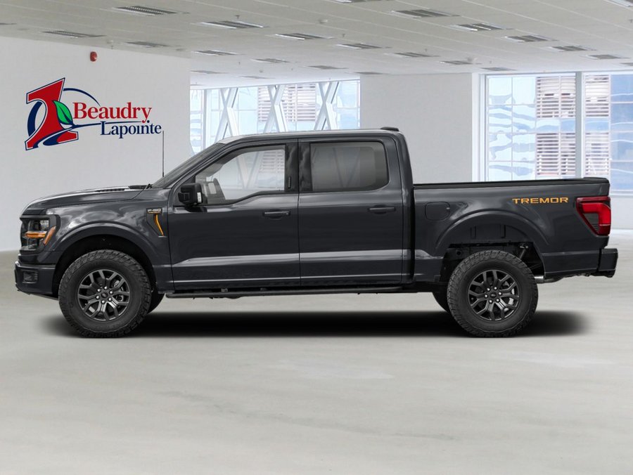 Ford F-150 2026 2026 Noir agate métallisé