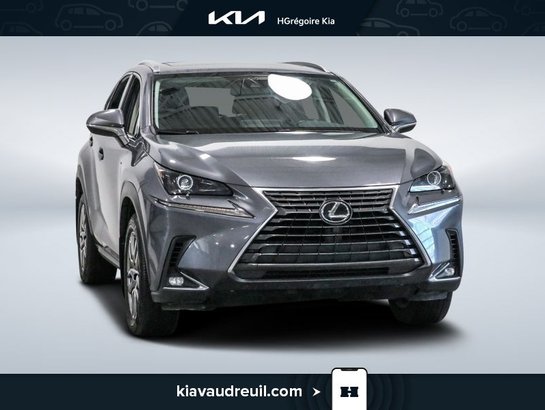 Lexus NX 2021 2021 Gris