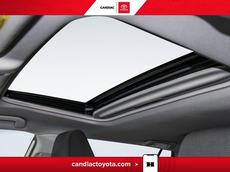 Toyota Rav 4 2023 Argent Laval - photo #30