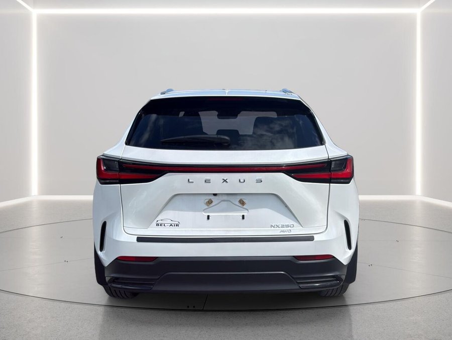 2025 Lexus NX 2025 White