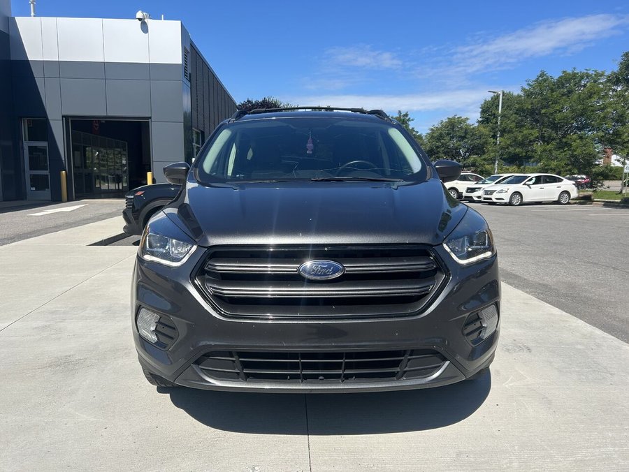 Ford Escape 2019 2019 Gris