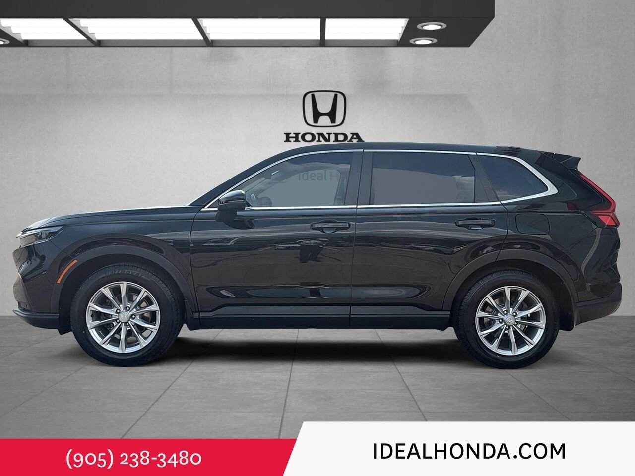 2023 Honda CR-V Black Mississauga - photo #5