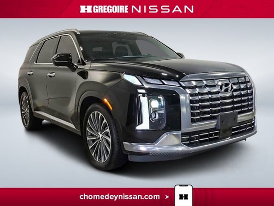 Hyundai Palisade 2024 2024 Noir