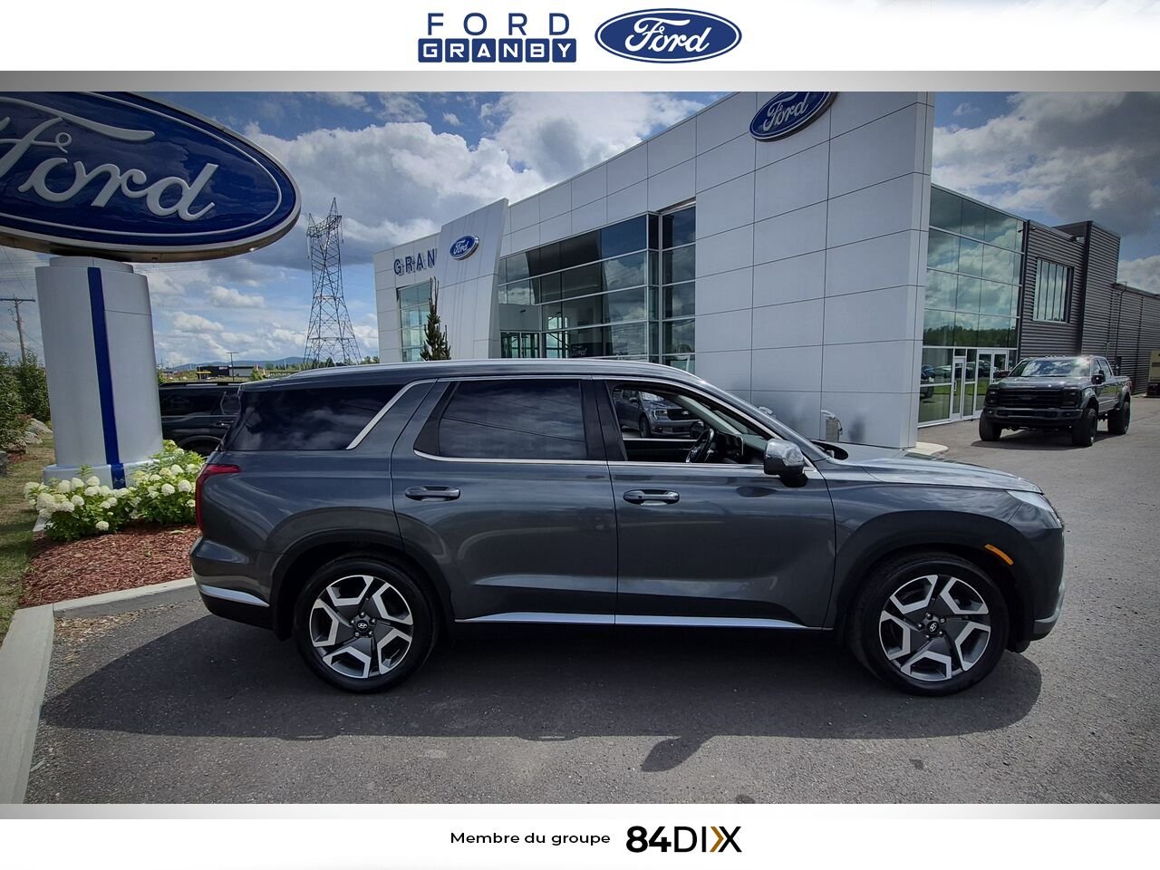 Hyundai Palisade 2023 Gris Granby - photo #8
